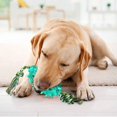thumbnail image 3 of Pet Dog Chew Toy Clean Teeth Tooth Floating Game Ball, 3 of 5