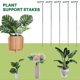 thumbnail image 4 of 5 Pack Garden Plant Support Stakes Single Stem Support Stake Plant Cage Support Rings Flowers Stem, 4 of 5