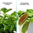 thumbnail image 6 of SereneLife Smart Indoor Garden - Indoor Herb Garden with LED Grow Lights Panel (White), 6 of 7