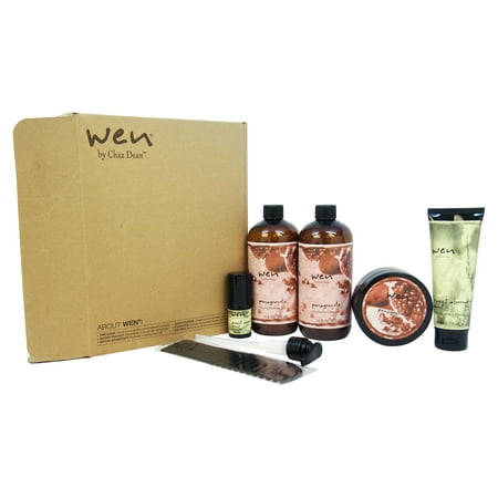 Chaz Dean Wen Hair Care Deluxe Kit, Pomegranate, 6 (Best Wen Product For Fine Hair)
