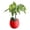 A003- Red, variant on Live Indoor Houseplant, Small Potted Lucky Seed Plant, Glossy Green Leaf Houseplant, Yellow Ribbed Ceramic Planter Pot Set, Compact Desktop Decor with Decorative Pebbles for Home