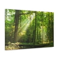 thumbnail image 5 of Green Forest Summer Sunlight Nature Wilderness Photography Canvas Wall Art for Home Decor Ready-to-Hang, 5 of 18