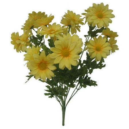 Yellow Daisy Bush