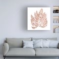 thumbnail image 3 of Wild Apple Portfolio 'Pacific Sea Mosses XIV White Sq' Canvas Art, 3 of 3