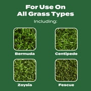 Scotts Turf Builder Lawn Fertilizer, 15,000 sq. ft., 37.50 lbs.