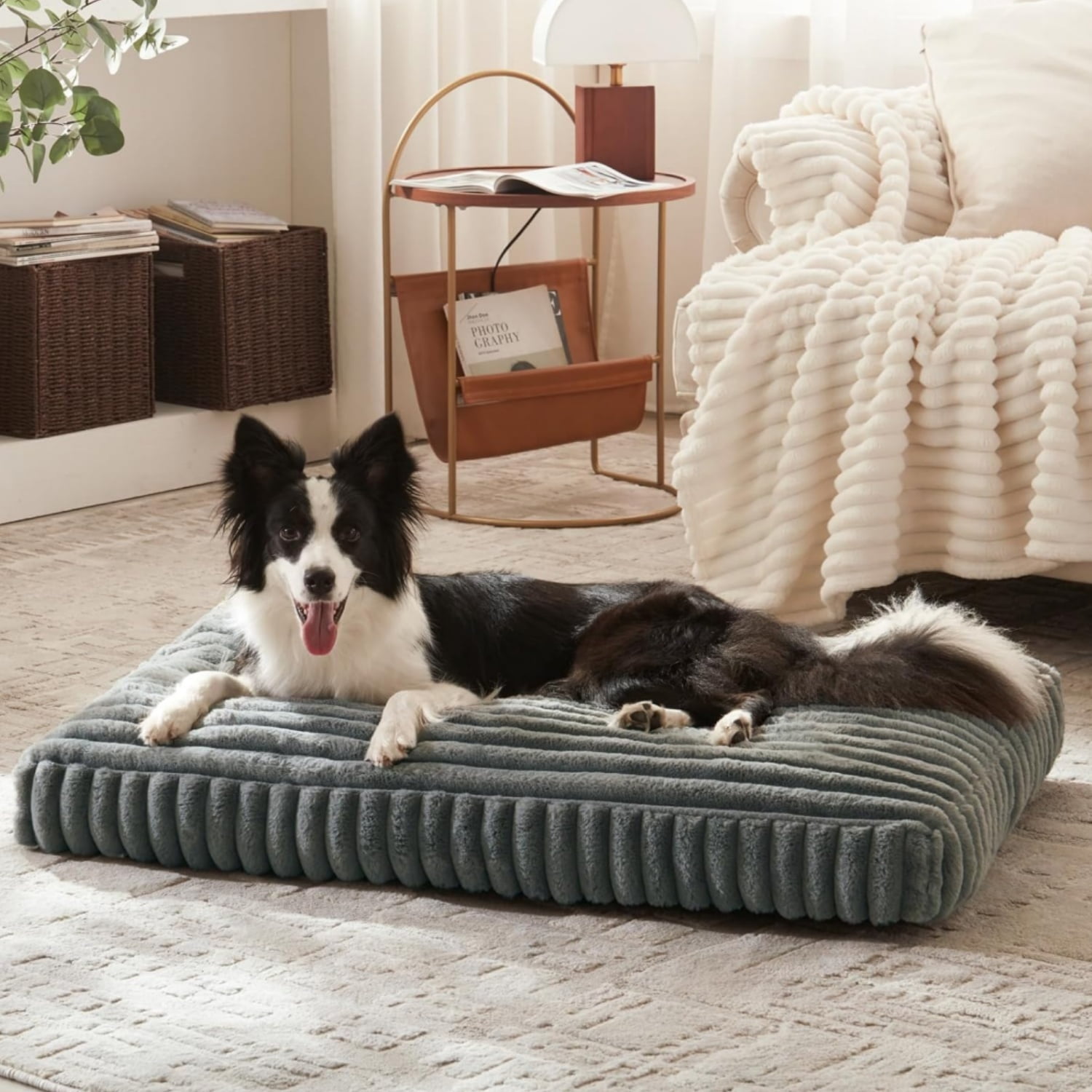 Katieovy Orthopedic Dog Bed for Large Dogs,40*30 inch Large Dog Beds,Washable Dog Beds with Non-Slip Bottom,Dark Gray