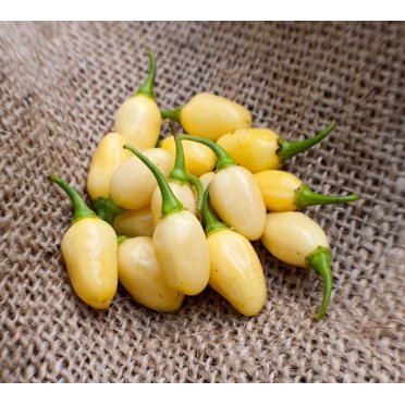 Dragons Claw Cayenne Chile Hot Pepper Premium Seeds Packet - Walmart.com