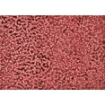 thumbnail image 1 of Ahgly Company Machine Washable Indoor Rectangle Transitional Red Area Rugs, 4' x 6', 1 of 7