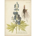 thumbnail image 2 of Vision Studio  25x32 White Modern Wood Framed Museum Art Print Titled - Eloquent Botanical II, 2 of 4