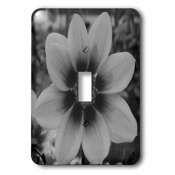 3dRose, Black and White Cosmos Flower, single toggle switch