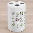 thumbnail image 1 of Herb Ceramic Toothbrush Holder, Natural Treatment Infographic Scheme with Healthy Plants and Names Herbalism Themed, Decorative Versatile Countertop for Bathroom, 4.5" X 2.7", Multicolor, 1 of 4