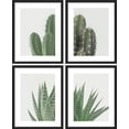 thumbnail image 2 of PixonSign Framed Wall Art, Green Cactus Snake Plant Posters, Set of 4 Collage Desert Landscape Prints Wall Decor, Nature Wilderness Artwork Wall Décor for Living Room, Bedroom - 12"x16" Black, 2 of 5