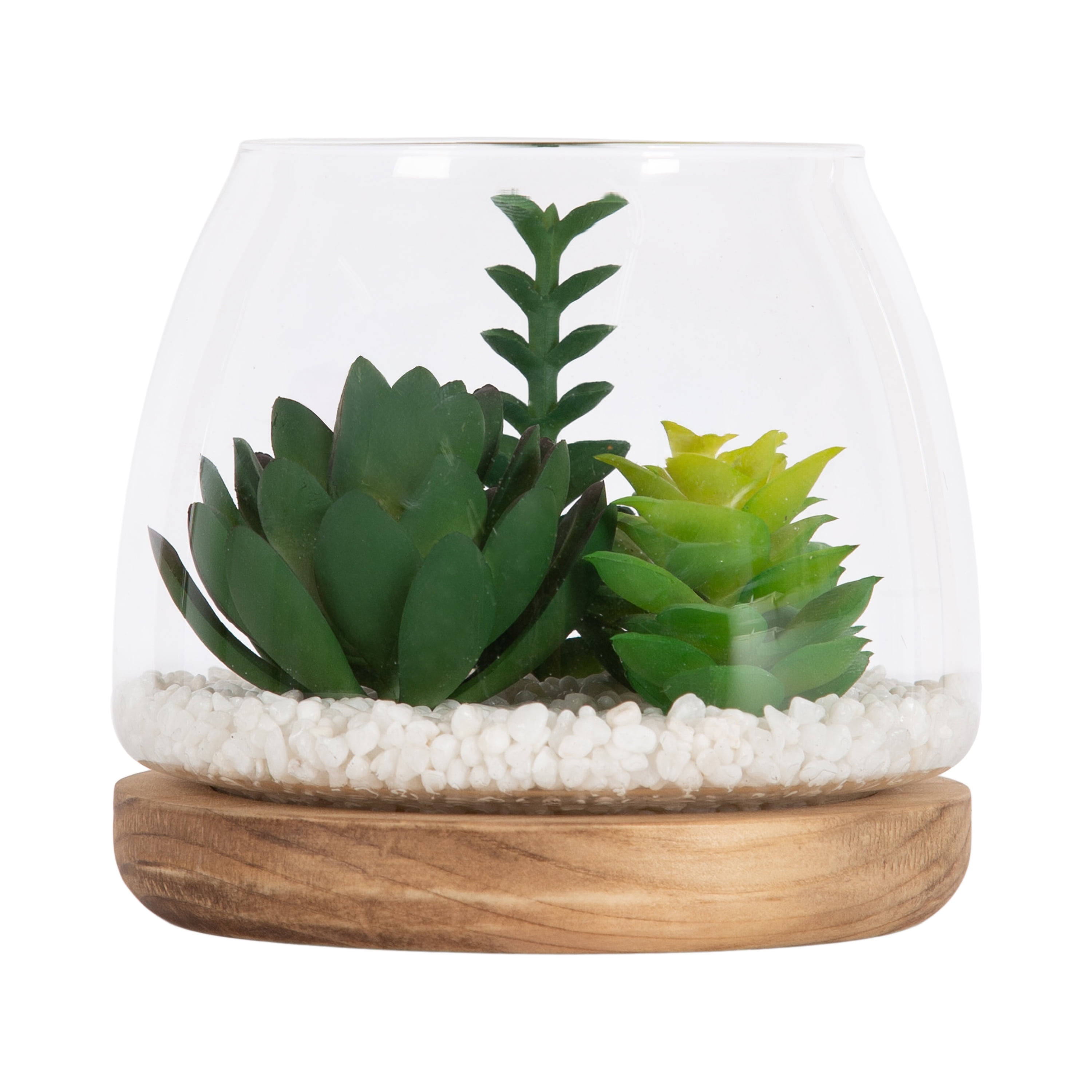 Mainstays 5" Tabletop Faux Succulent Glass Terrarium on Circle Wood Base