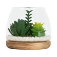 thumbnail image 1 of DesignOvation 5"H Tabletop Artificial Succulent Glass Terrarium on Wood Base, 1 of 10