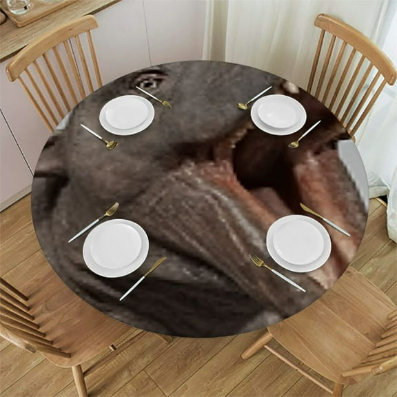 Elephant Sitting on The Sofa Waterproof Table Cloth Round Cover, Outdoor Fitted Tablecloth with Elastic, Funny Animal Oilcloth Table Covers