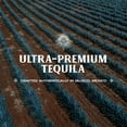 thumbnail image 5 of Flecha Azul Reposado Tequila, 750 ml Bottle, 40% ABV, 5 of 9