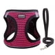 thumbnail image 4 of Premium Pet Harness and Leash Set - Perfect for Small and Medium Dogs Walking and Traveling!, 4 of 4