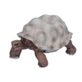 thumbnail image 4 of Figuras de Tortuga, Plásstico de Tortugas Pequeño Animal Salvaje Simulado Para Regalos Navideños Para Niños Mayores de 3 Años para Regalos de Cumpeados, 4 of 7
