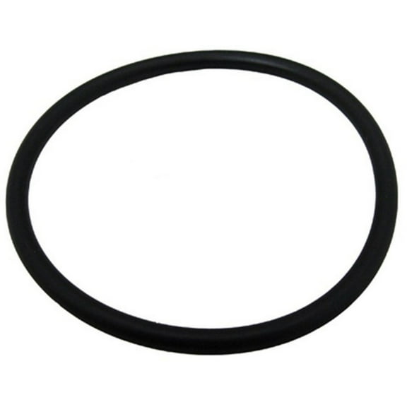 Waterco Baker Hydro 00B7027 O-Ring Gasket Union Adapter