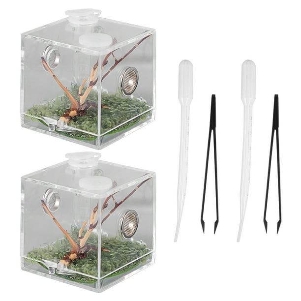 1 Set of Jumping Spider Enclosure Box Spider Habitat Box Acrylic