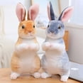 thumbnail image 2 of Simulation Kawaii Long Ears Realistic Rabbit Plush Toy Lifelike Animal Stuffed Doll Toys for Kids Girls Birthday Gift Room Decor, 2 of 5