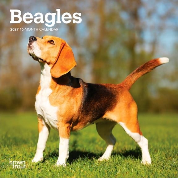 Beagles | 2027 7x14" (Hanging) Wall Calendar