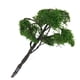thumbnail image 4 of Modelo De Olmo Árbol 4,72 Inch Paisaje Scenery Landscape Model Elm Tree, 4 of 9