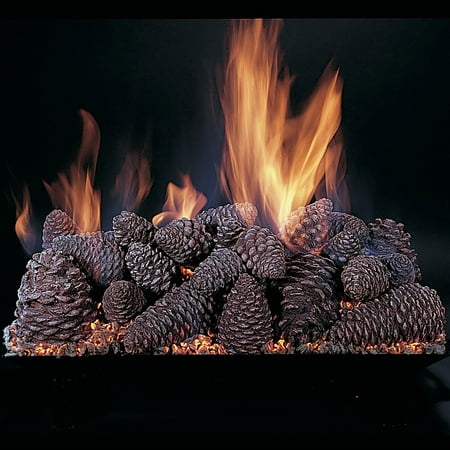 

Rasmussen Pine Cones Fire Set w/ 30 (CS) Burner Electronic Pilot Valve Vanisher LP 30