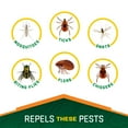 Repel 100 Insect Repellent Repels Mosquitos, Ticks & Gnats, and for severe conditions, 98 DEET