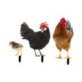 thumbnail image 4 of 3x estacas de estatua de pollo, estacas de jardín, letrero, estaca decorativa resistente a la intemperie, estatua de pollo, decoraciones de jardín, 4 of 8