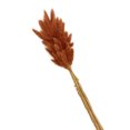 thumbnail image 2 of Mairbeon 1 Set Dried Flower Bouquet Romantic Easter Celebration Bunny Tail Household Products, 2 of 9