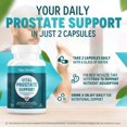 thumbnail image 2 of Vital Prostate Support Supplement for Men – Multiphase Herbal Formula with Saw Palmetto, Beta-Sitosterol & Zinc – Urinary Flow, Bladder Comfort & Prostate Health Supplements for Men, 2 of 6
