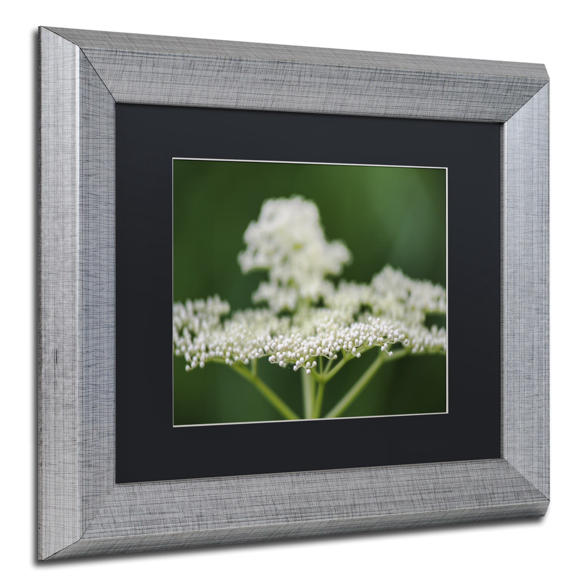 Trademark Fine Art "Nature is Amazing" Canvas Art by Kurt Shaffer, Black Matte, Silver Frame