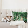 thumbnail image 4 of Ambesonne Tropical Throw Pillow Cover 2 Pack, River Bridge of Forest, 24", Beige and Green, 4 of 5