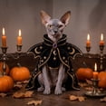thumbnail image 5 of Halloween Cat Costume Witch Cloak Wizard Hat Pet Outfit for Cats Funny Dress Up Apparel for Halloween Parties Photos, 5 of 8