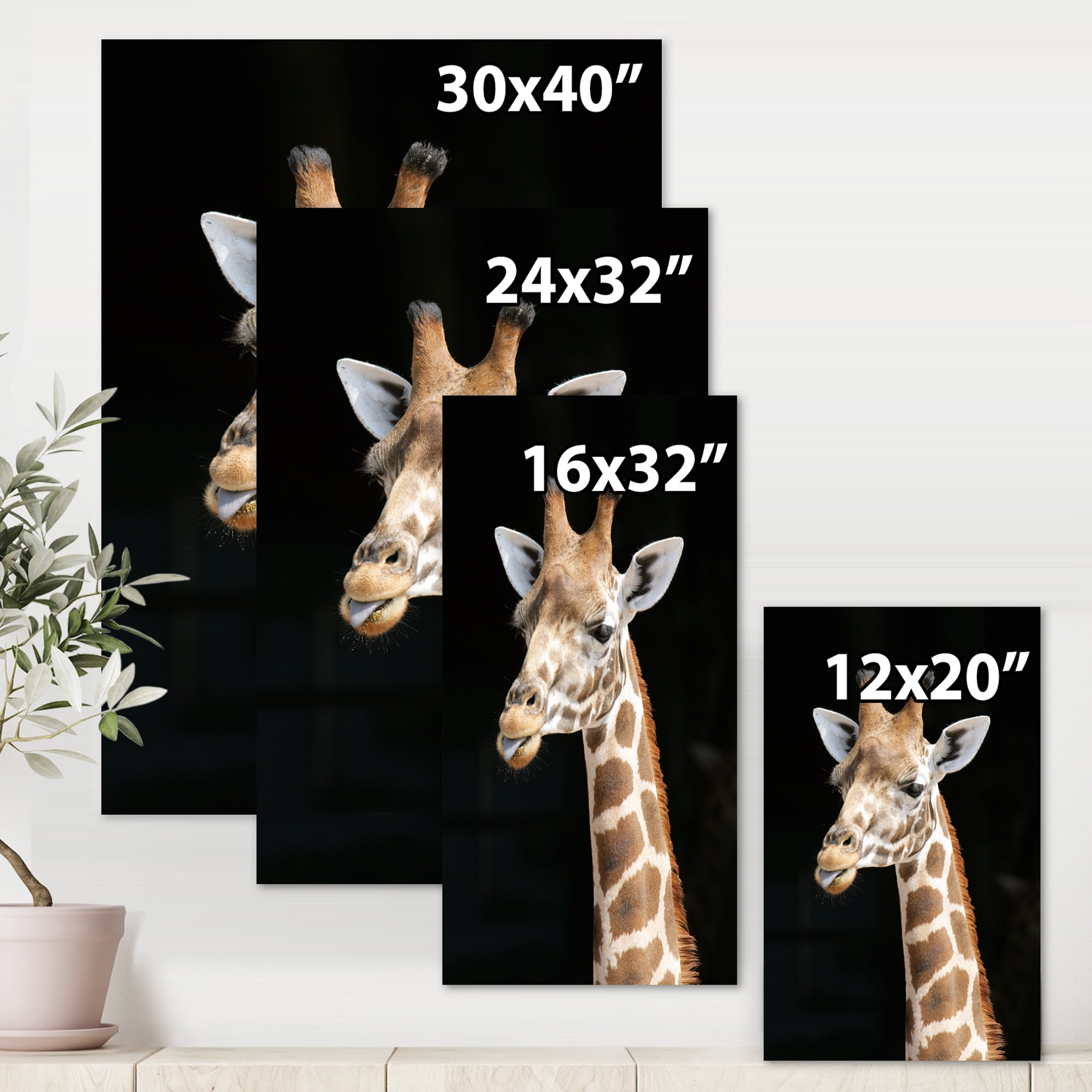 Designart ' Close Up Portrait Of A Giraffe On Black III ' Farmhouse Canvas Wall Art Print