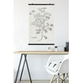 thumbnail image 5 of Jean Plout - Botanical Studies on Paper Coriander Wall Poster, 22.375" x 34", 5 of 5