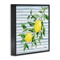 thumbnail image 2 of Stupell Industries Farmhouse Juicy Lemon Vine on Blue Black Framed Giclee Art, 24 x 24, by Paul Brent, 2 of 7