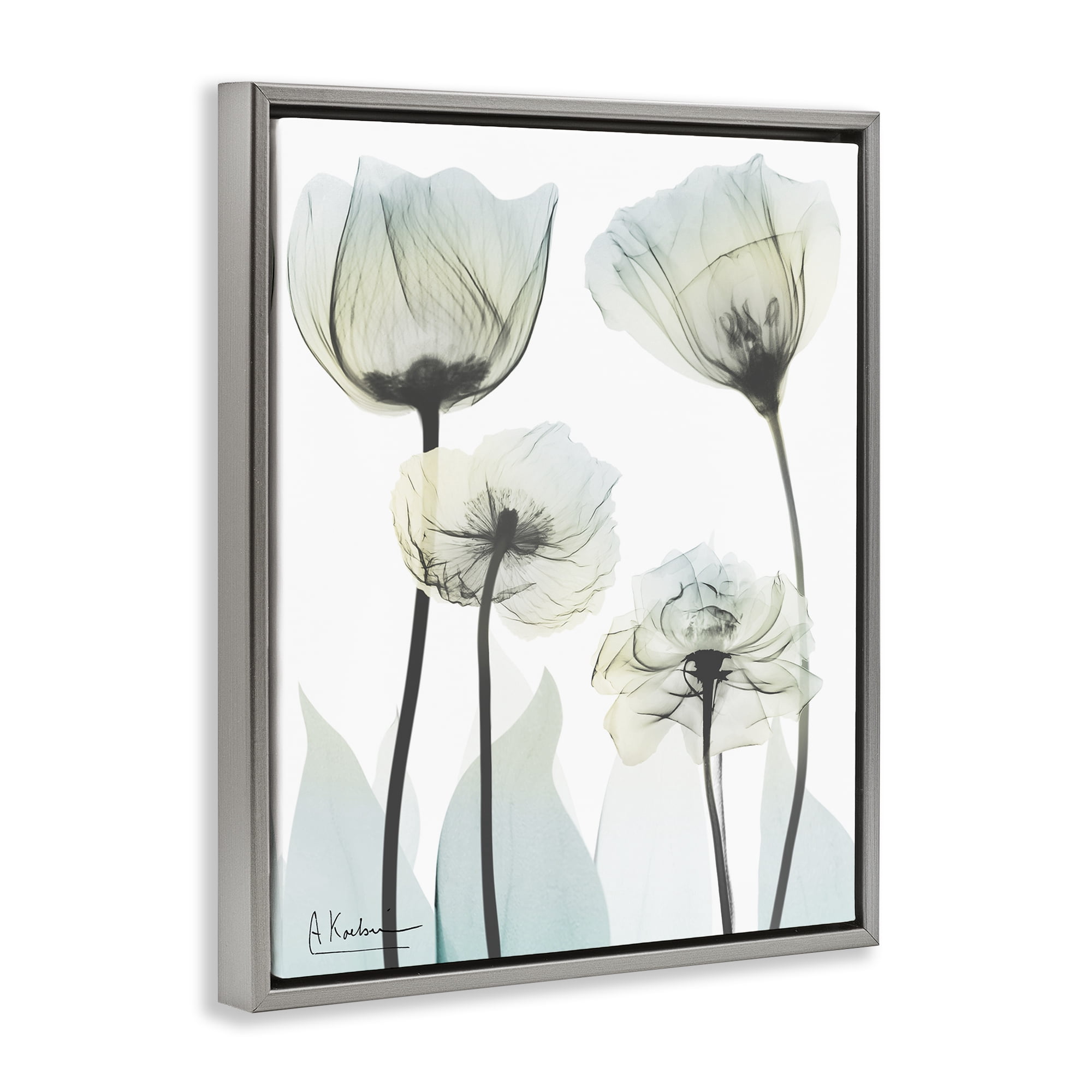 Stupell Industries Floral Luxury Of Creation Gray Framed Floater Canvas Wall Art, design by Albert Koetsier
