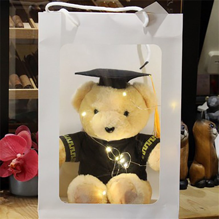 Graduation teddy clearance bear walmart