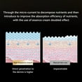 thumbnail image 6 of 3-in-1 Face Massager for Women and Men, Four-dimensional Multifunctional Lifting and Tightening Massage Introduction Instrument for Face Neck and Eye, Household Face One Instrument Beauty Instrument, 6 of 10