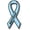 Aqua- survivor, variant on Magnet Me Up Support Prostate Cancer Awareness Aqua Ribbon Magnet Decal, 3.5x7 In, Vinyl Automotive Magnet