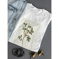 thumbnail image 3 of Tenessee Warbler T-Shirt Women -John James Audubon Designs, Female 5X-Large, 3 of 4