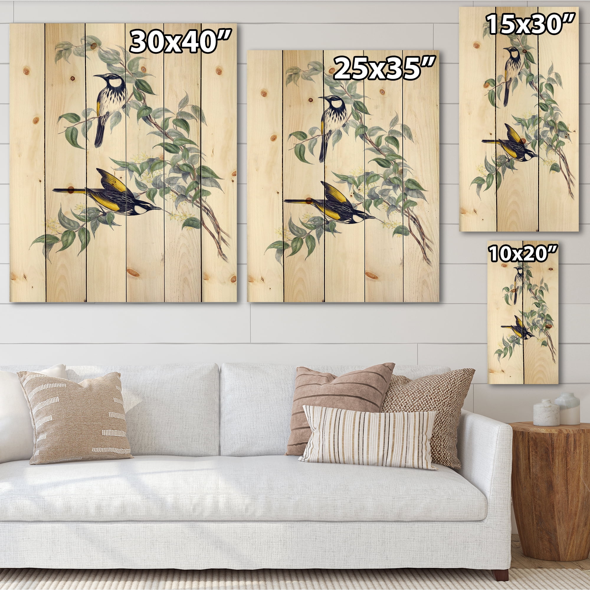 Designart 'Ancient Australian Birds On A Branch' Traditional Print on Natural Pine Wood