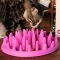 thumbnail image 5 of Slow Feeding Interactive Pet Bowl - Prevent Swallowing and Swelling - Puppy Feeding Bowl, 5 of 7