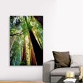 thumbnail image 4 of Great BIG Canvas Photography, 4 of 7
