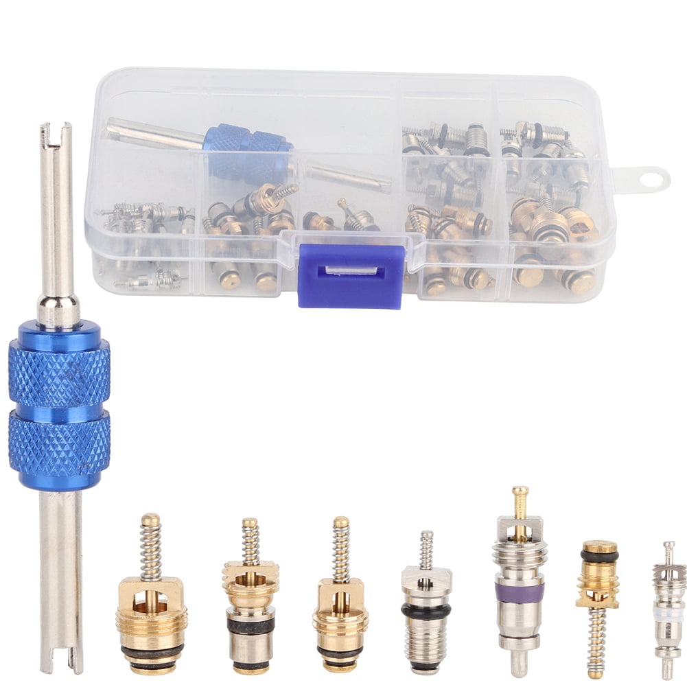FAGINEY 39Pcs A/C Air Conditioning Valve Core R12 R134a Refrigeration
