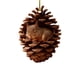 thumbnail image 1 of Ornamentos Navideños 2D Acrylic, Pendants para Árbol de Navidad, Adornos para Arbol de Navidad, Accesorios de Navidad para Hogar, para Caras de Navidad, Decoración de Navidad para Domicilios,, 1 of 9