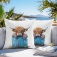 thumbnail image 4 of Highland Cattle Outdoor Pillow Covers Pack of 2 Farmhouse Cow Funny Animal Waterproof Throw Pillow Covers Decorative Cushion Cases for Patio Garden Tent Balcony Couch 24x24 inch, 4 of 8