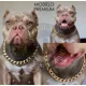 thumbnail image 2 of Collar Para Perro Cadena Cubana Dorada Diferentes Tallas, 2 of 7